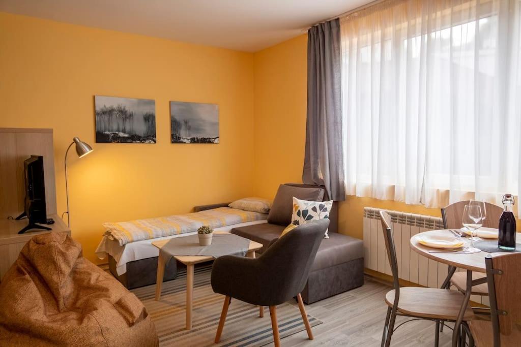 The Place - Studio Borovets-Iglika 2 Extérieur photo